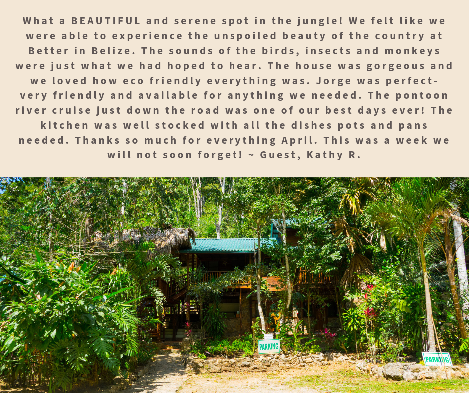 Better in Belize Vacation Rental Review